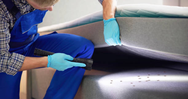 Pest Prevention Services in North Warren, PA