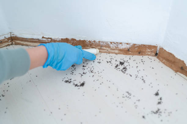 Best Affordable Pest Control Services  in North Warren, PA