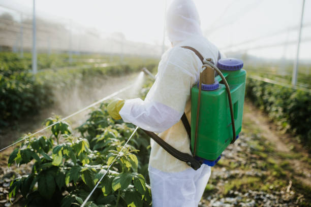 Best Best Pest Control Companies  in North Warren, PA